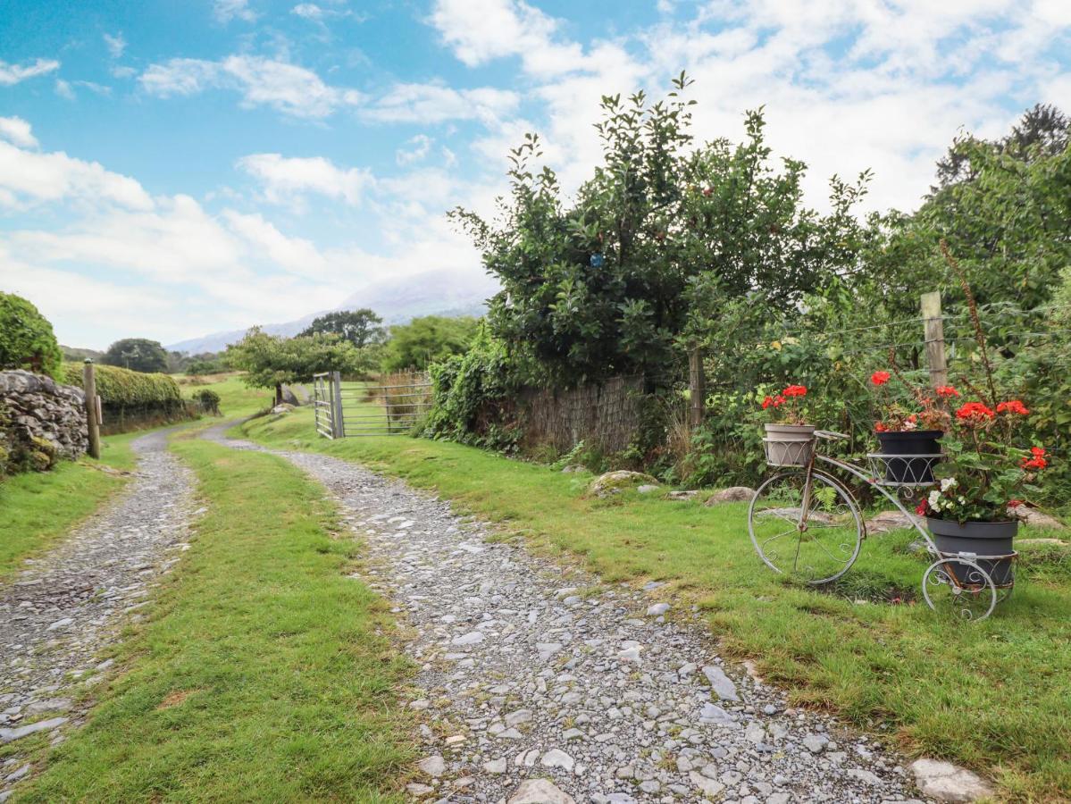 Cwm Caeth Cottage Caernarfon Zewnętrze zdjęcie